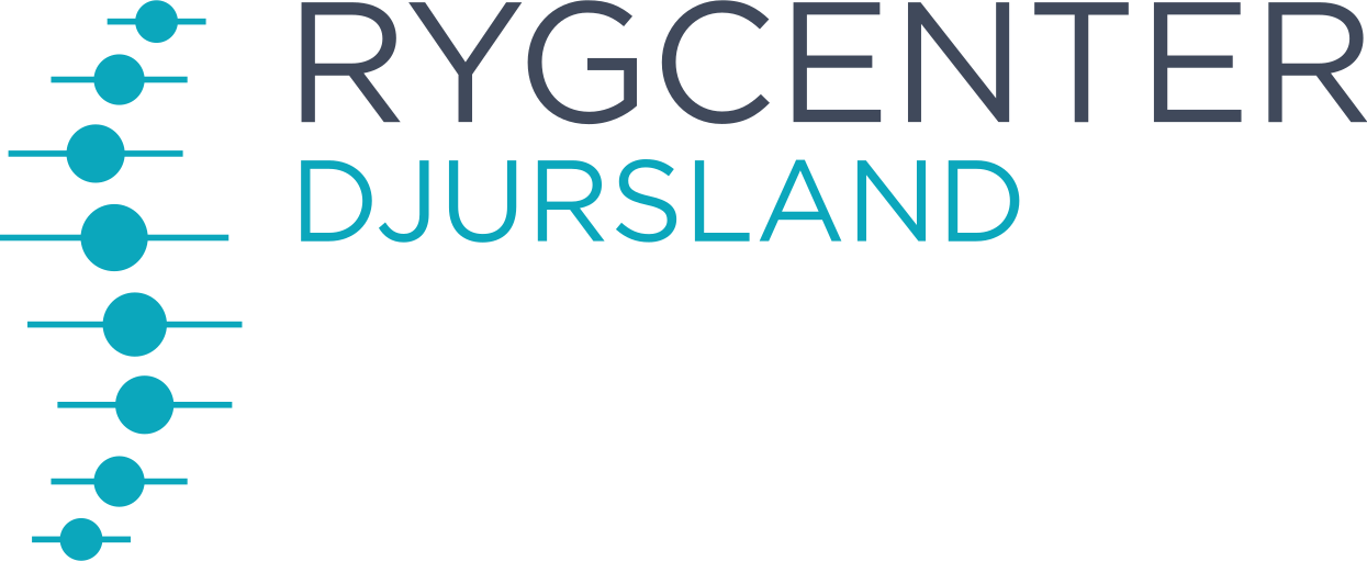 Rygcenter Djursland — kunde hos PerformanceMarketing.dk